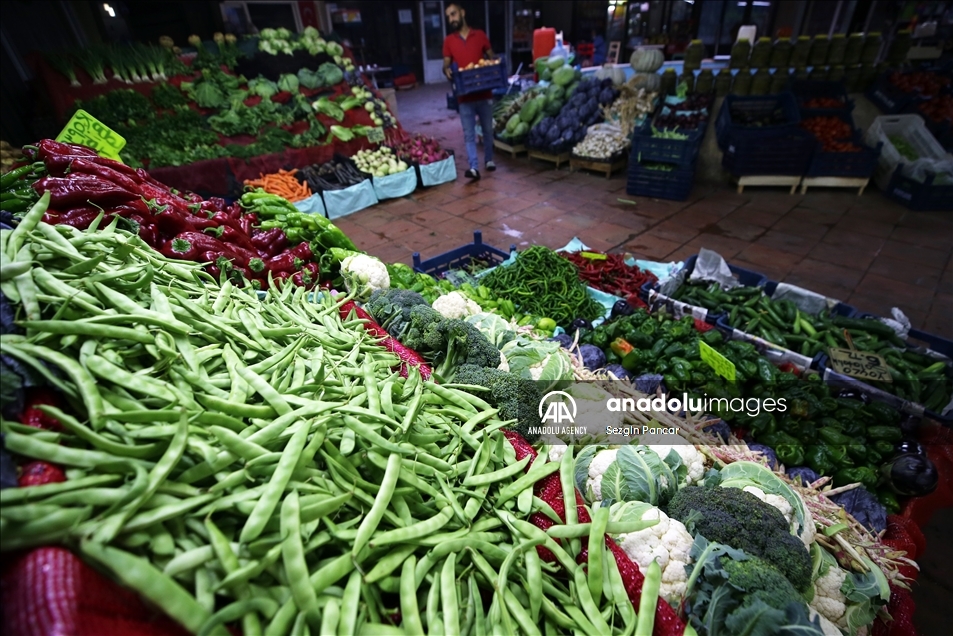 ترکیه بیش از 2 میلیارد دلار میوه و سبزیجات تازه صادر کرد 