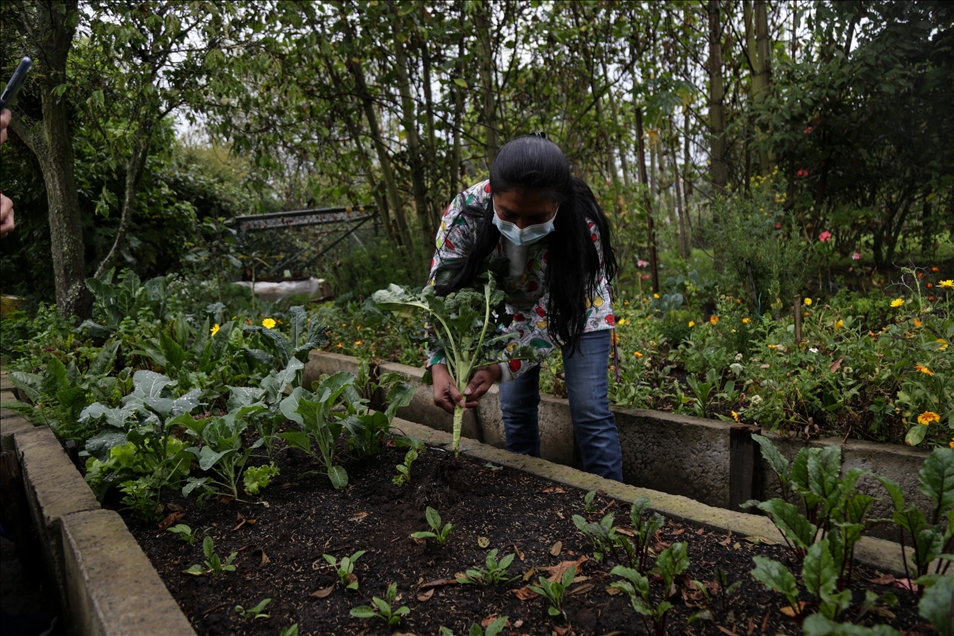 International Day of Rural Women