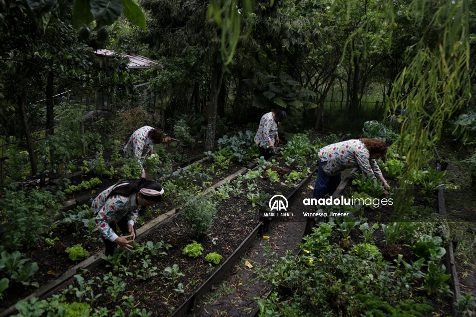 Pioneras de la agricultura urbana en Colombia cosechan hortalizas en el marco del Día Internacional de la Mujer Rural