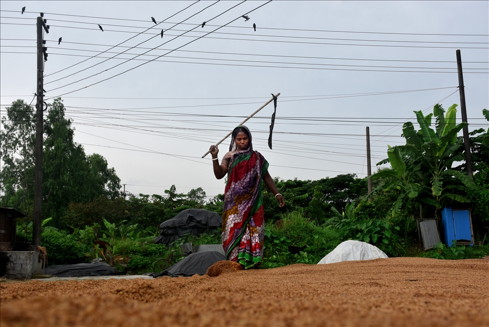 Bangladeş'te 'Kırsalda Yaşayan Kadınlar Günü'