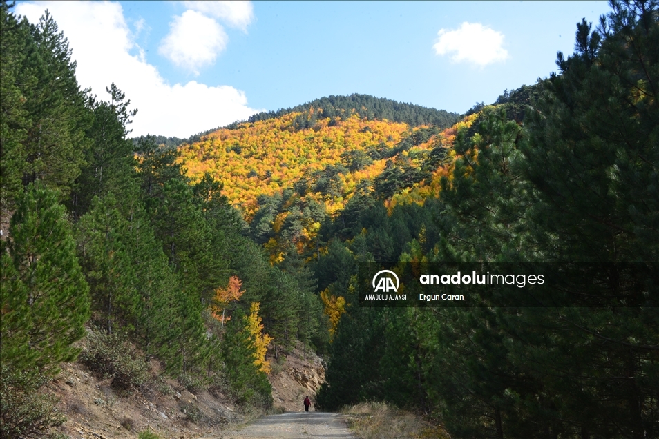 Kayak ve termali buluşturan Murat Dağı'nda sonbahar renkleri