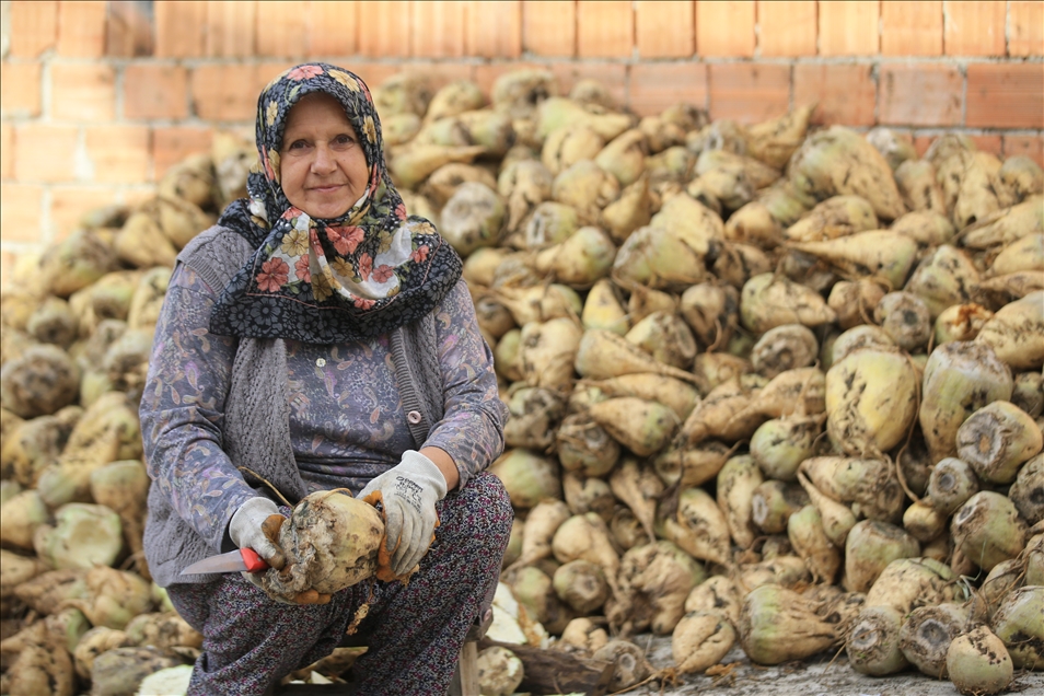 Kırklareli köylerinde çiftçilik yapan kadınlar, topraklarını şehir yaşamına değişmiyor