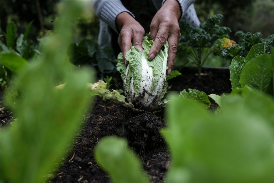 International Day of Rural Women