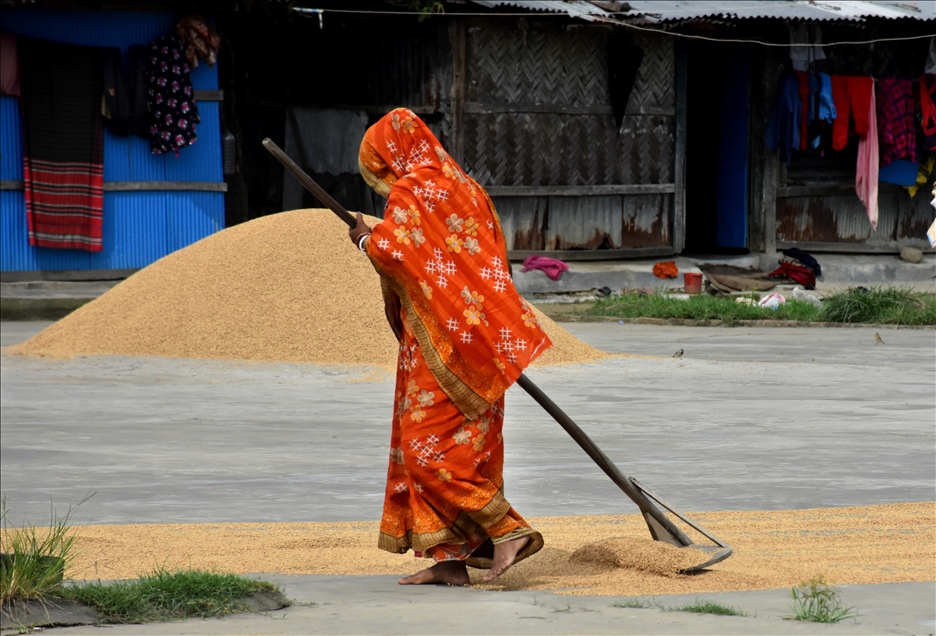 Bangladeş'te 'Kırsalda Yaşayan Kadınlar Günü'