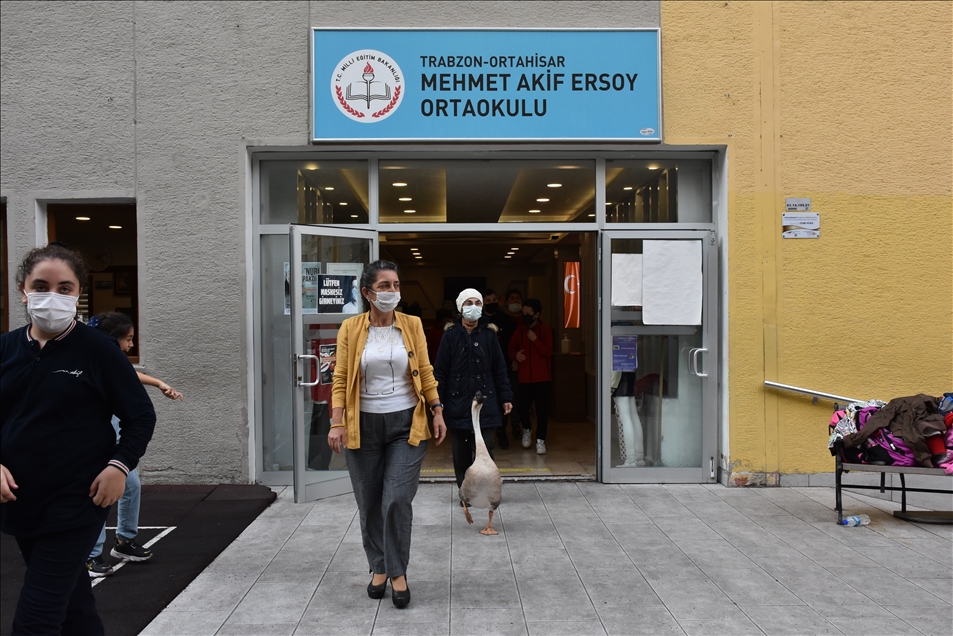 Çin kazı "Kirli" sahibinin götürdüğü okulda derslere neşe katıyor