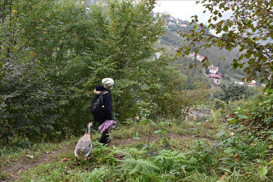 Çin kazı "Kirli" sahibinin götürdüğü okulda derslere neşe katıyor