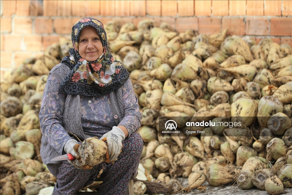 Kırklareli köylerinde çiftçilik yapan kadınlar, topraklarını şehir yaşamına değişmiyor