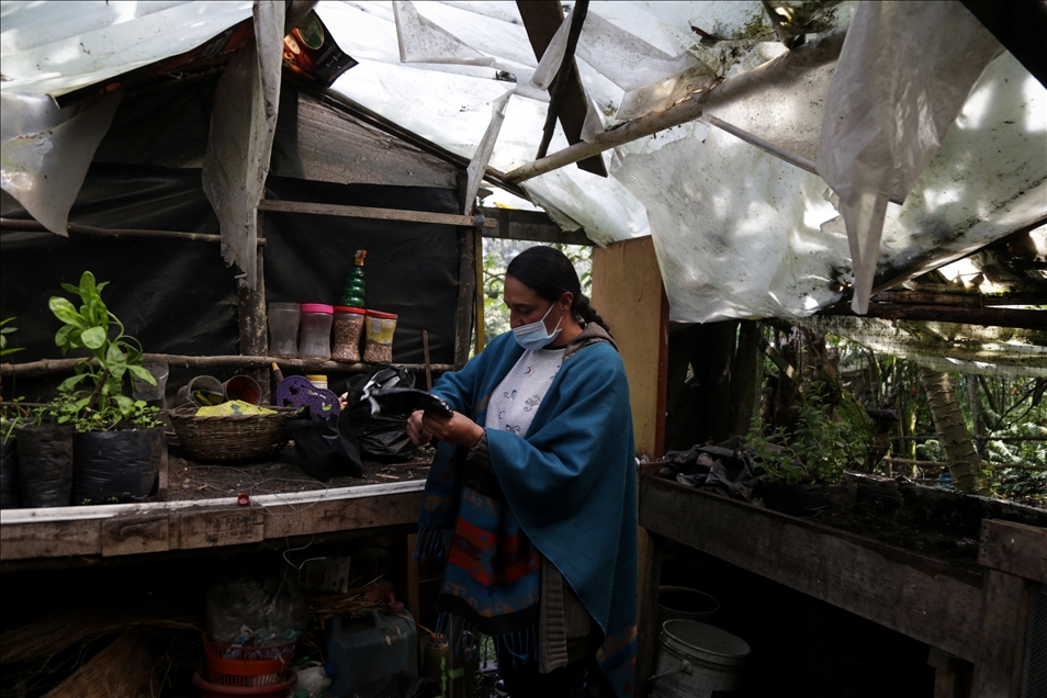 International Day of Rural Women