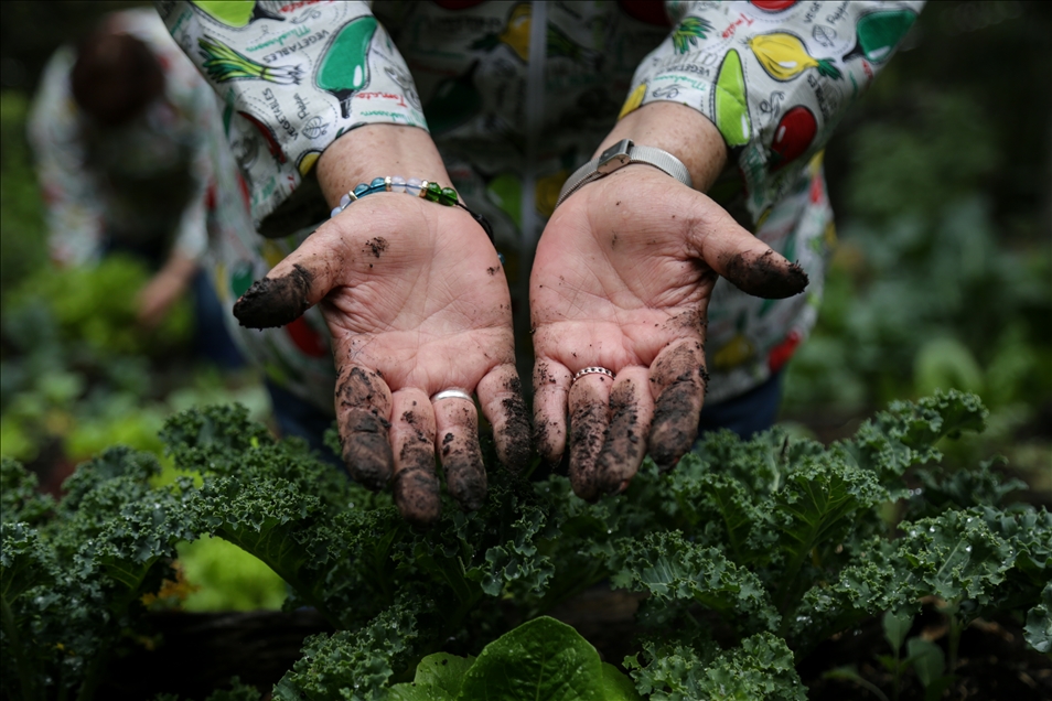 International Day of Rural Women