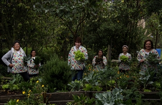 Pioneras de la agricultura urbana en Colombia cosechan hortalizas en el marco del Día Internacional de la Mujer Rural