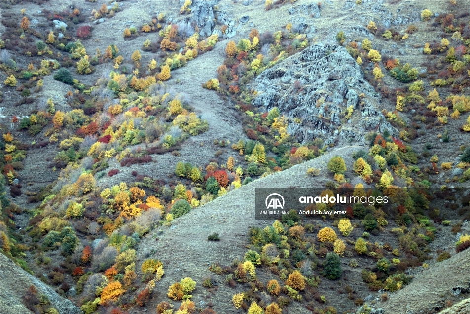 Ağrı'nın Güneykaya Dağları'ndaki vadiler sonbahar renklerine büründü