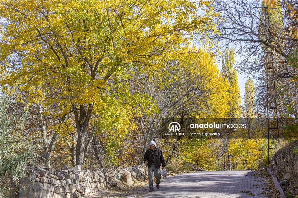 Kayseri'de sonbahar renkleri Gesi Bağları ve Koramaz Vadisi'ne ayrı güzellik kattı
