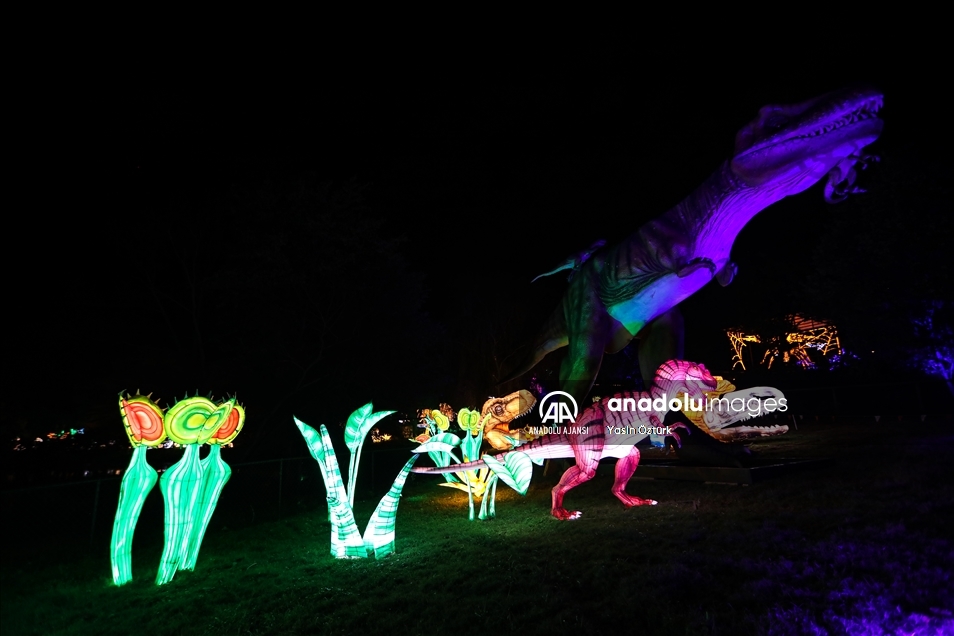 Virginia'da LuminoCity Festivali 