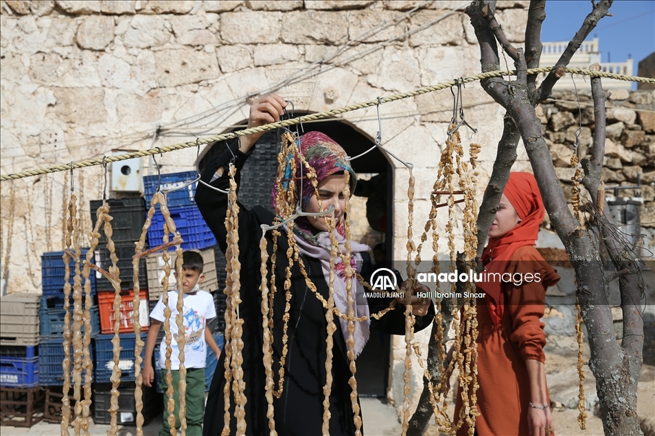 Mardin'de "Ömerli Bağ Bozumu Kültür ve Sanat Festivali" başladı