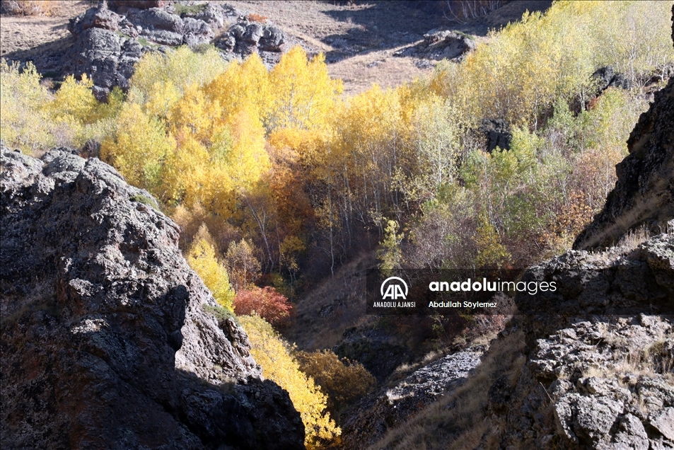 Ağrı'nın Güneykaya Dağları'ndaki vadiler sonbahar renklerine büründü