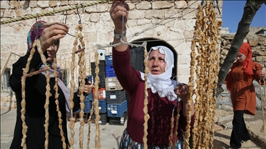 Mardin'de 'Ömerli Bağ Bozumu Kültür ve Sanat Festivali' başladı