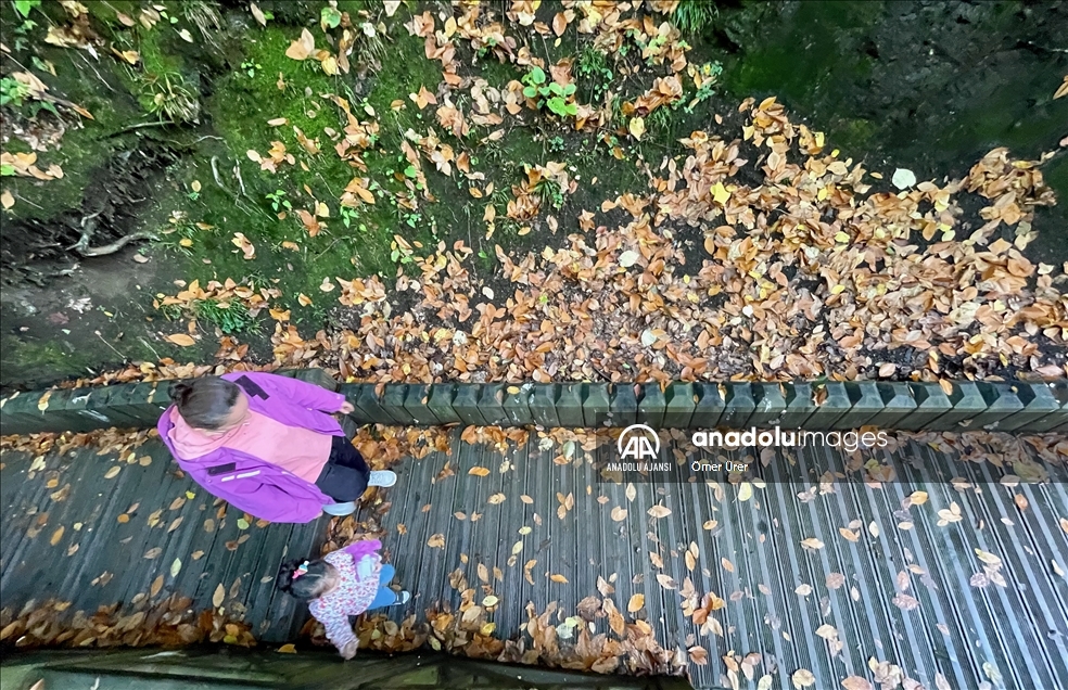 Düzce'deki Aydınpınar Şelalesi Tabiat Parkı'nda sonbahar güzelliği