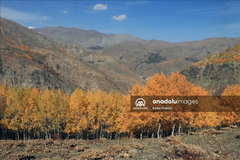 Erzincan'ın yüksek kesimlerinde sonbahar renkleri görüntülendi