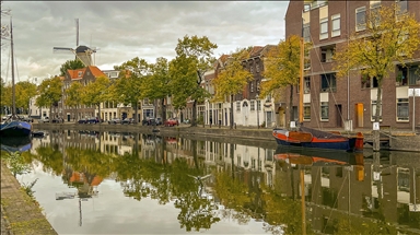 Autumn colors in the Netherlands