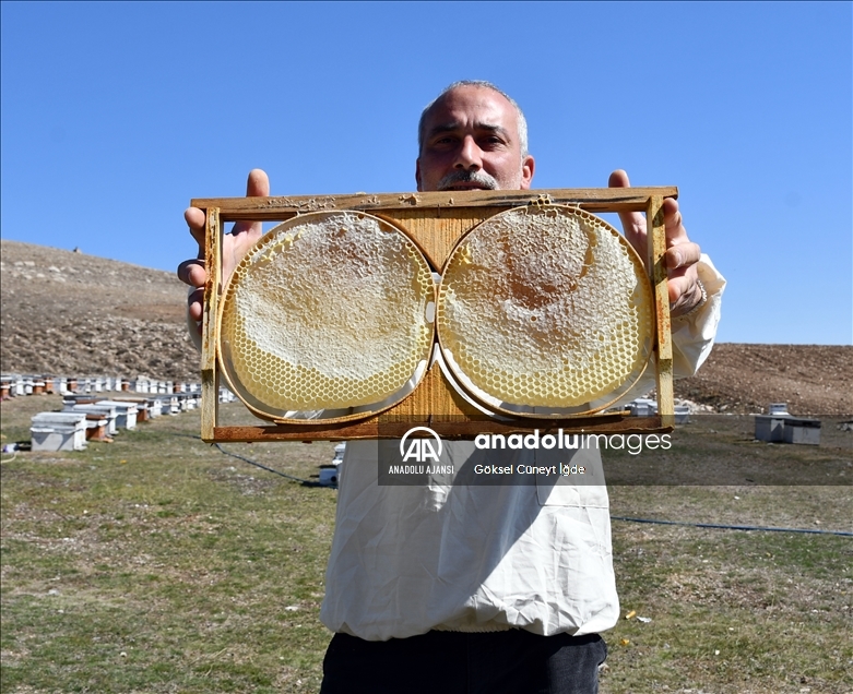 Hobisini kazanca dönüştüren girişimci yılda 7 ton bal üretiyor