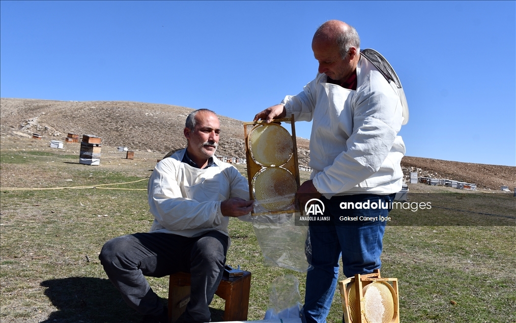 Hobisini kazanca dönüştüren girişimci yılda 7 ton bal üretiyor
