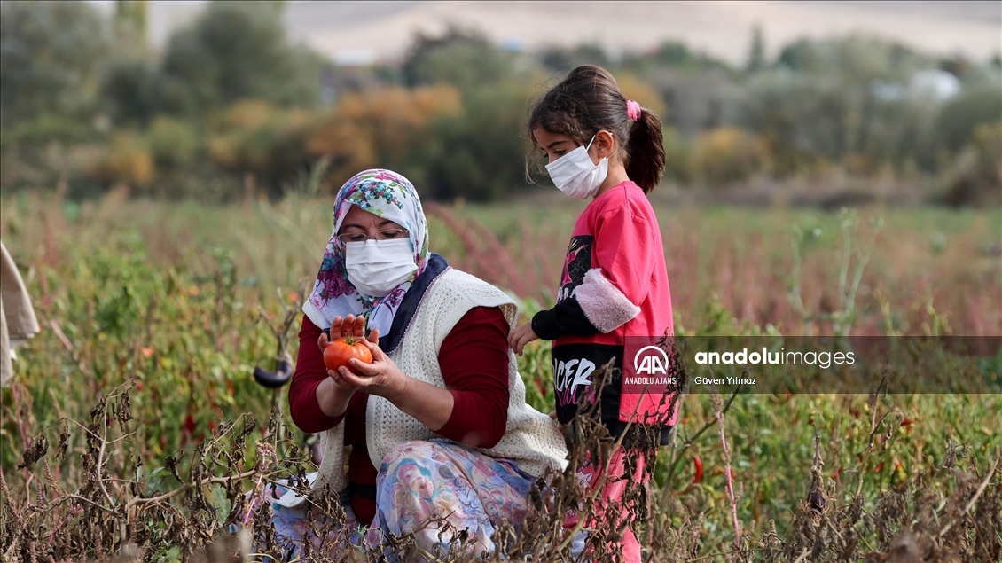 Türk kadınlarının ürettiği ev yapımı salçalar Avrupa yolunda