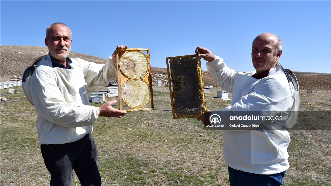 Hobisini kazanca dönüştüren girişimci yılda 7 ton bal üretiyor