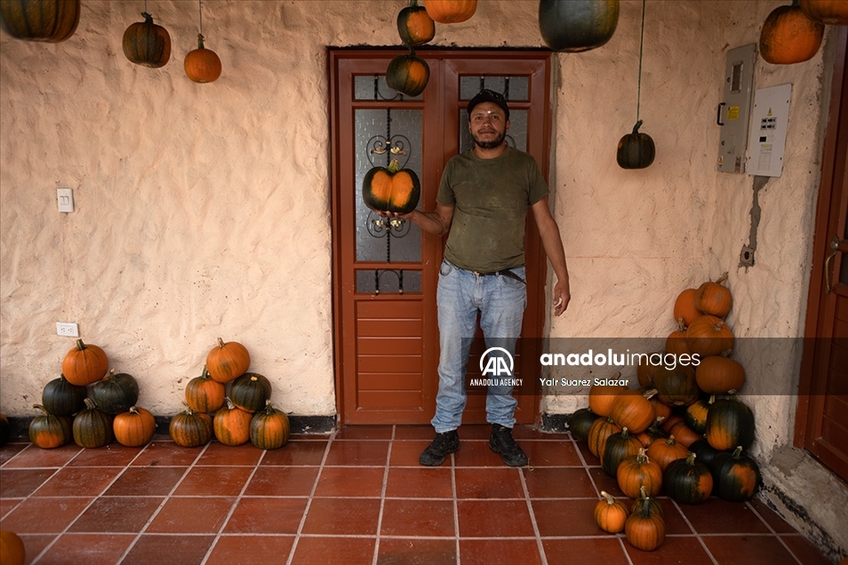 Nuevo Colón, el pueblo que produce calabazas para Halloween en Colombia