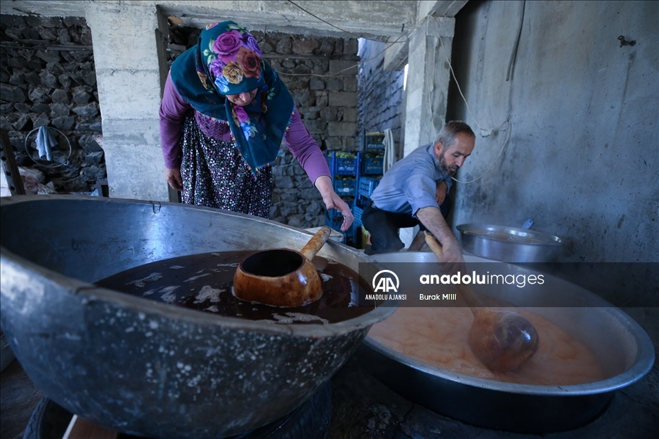 Gastronomi kenti Hatay'da toprakla mayalanan tescilli pekmez kaynamaya başladı