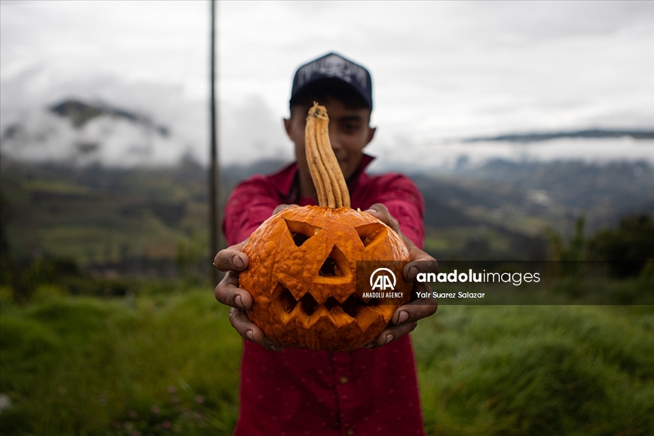 Nuevo Colón, el pueblo que produce calabazas para Halloween en Colombia
