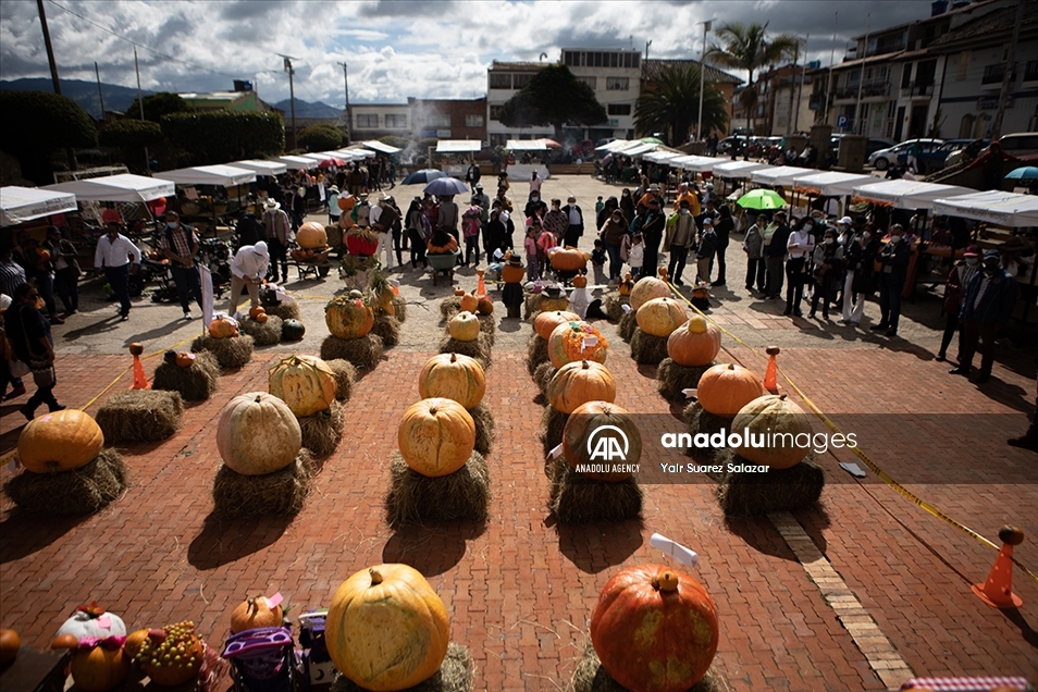 Nuevo Colón, el pueblo que produce calabazas para Halloween en Colombia