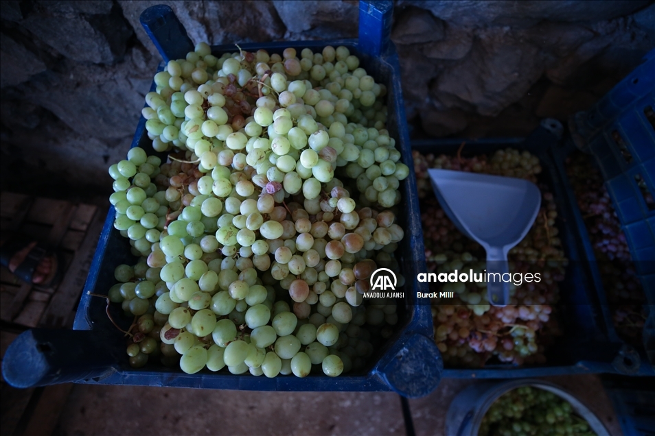 Gastronomi kenti Hatay'da toprakla mayalanan tescilli pekmez kaynamaya başladı