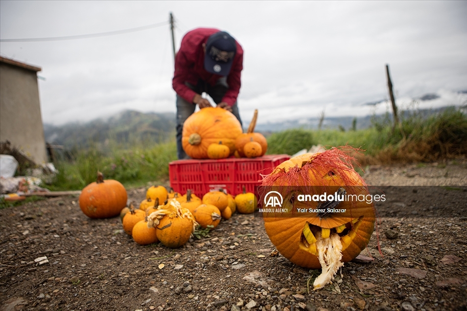 Nuevo Colón, el pueblo que produce calabazas para Halloween en Colombia