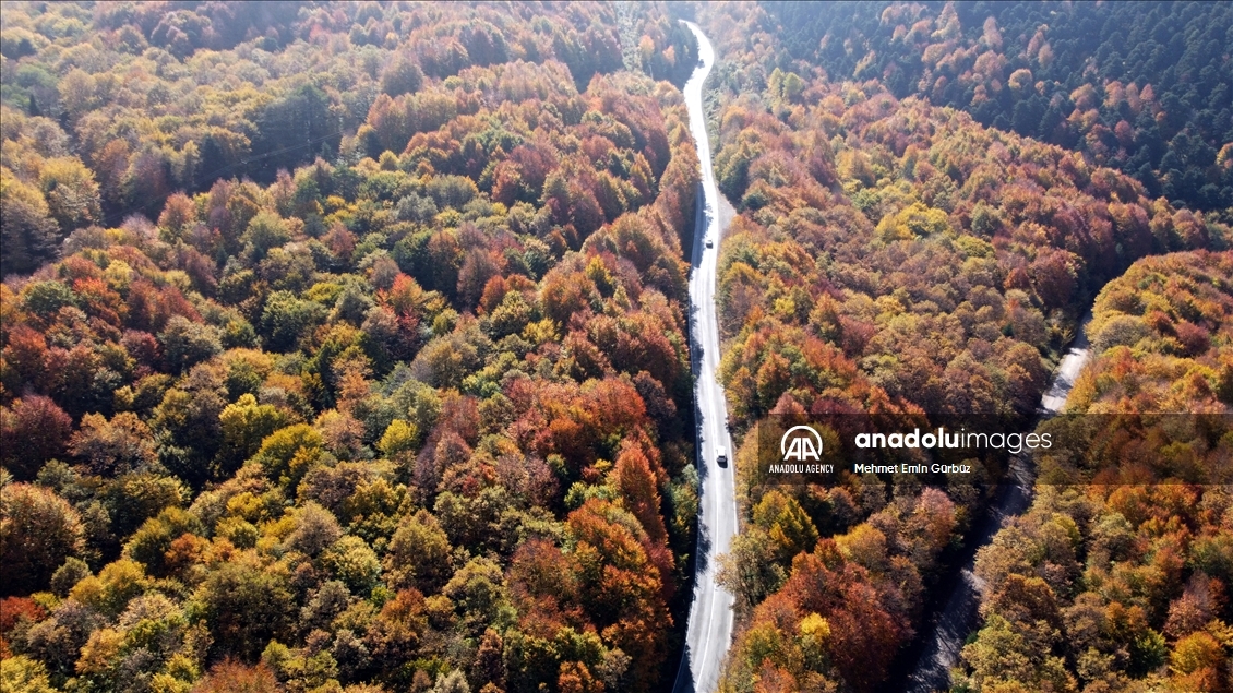 Природный парк Гельджюк в Турции окрасился в яркие краски осени