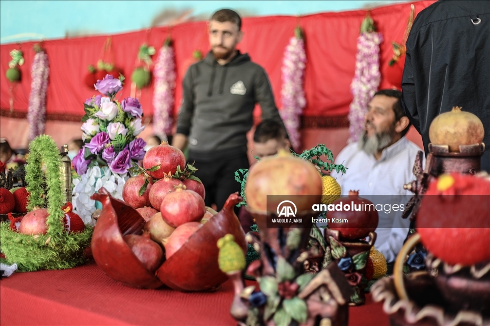 İdlib'de 4'üncü nar festivali yapıldı