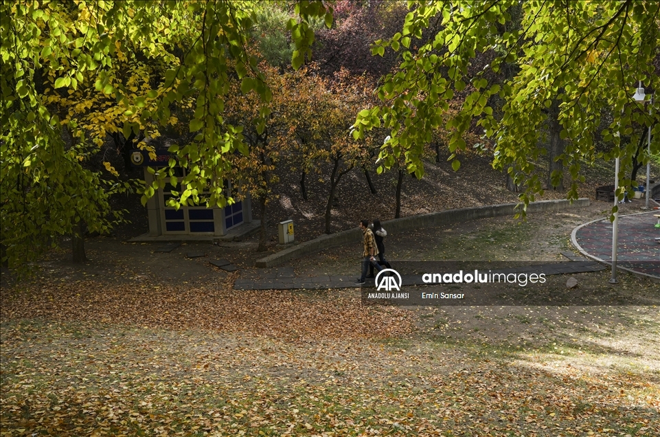 Ankara'da sonbahar