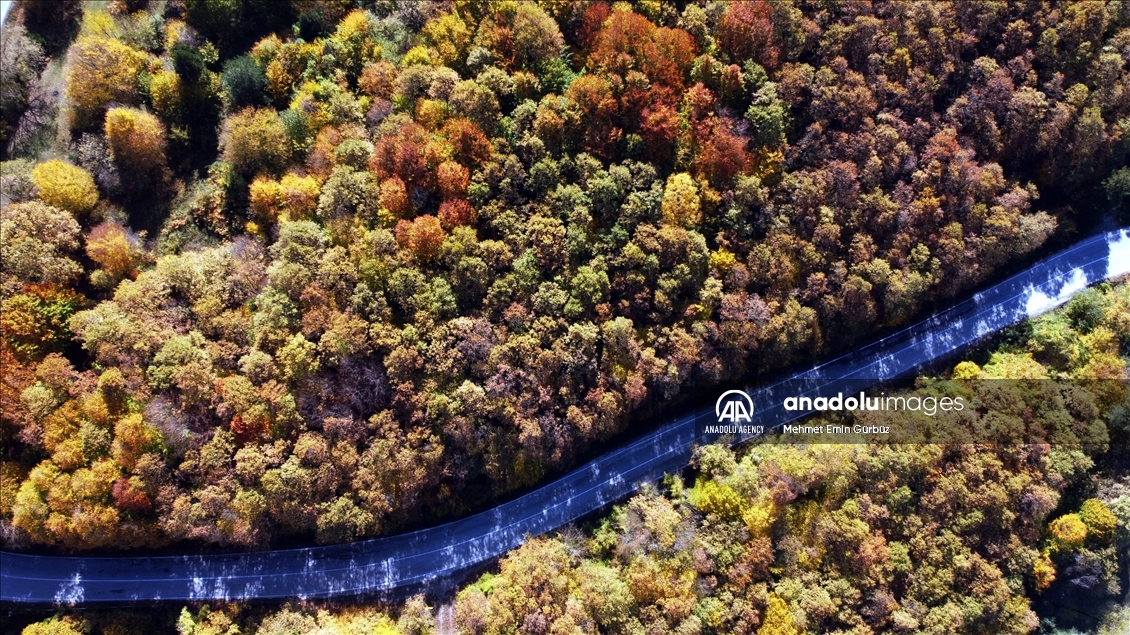 Природный парк Гельджюк в Турции окрасился в яркие краски осени