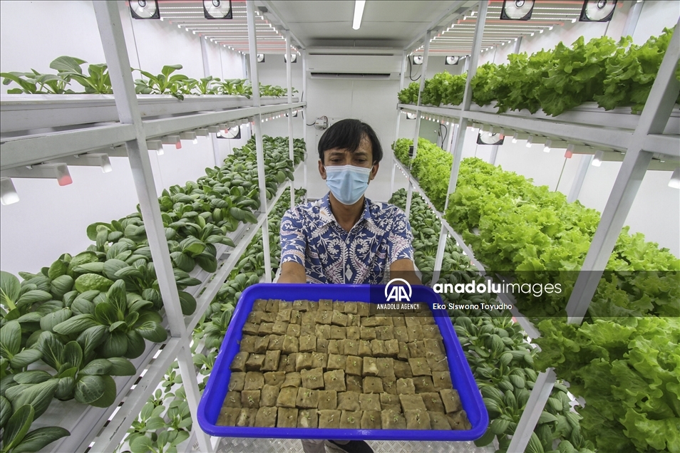 Indonesia luncurkan kontainer farming di Jakarta