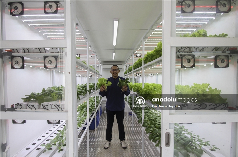 Indonesia luncurkan container farming di Jakarta