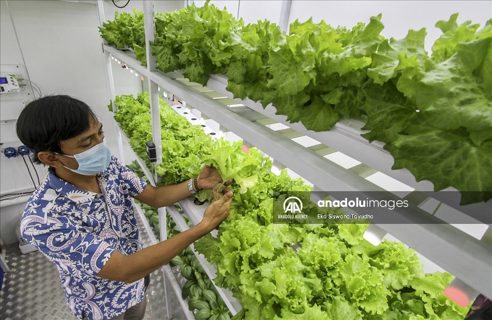 Indonesia luncurkan container farming di Jakarta