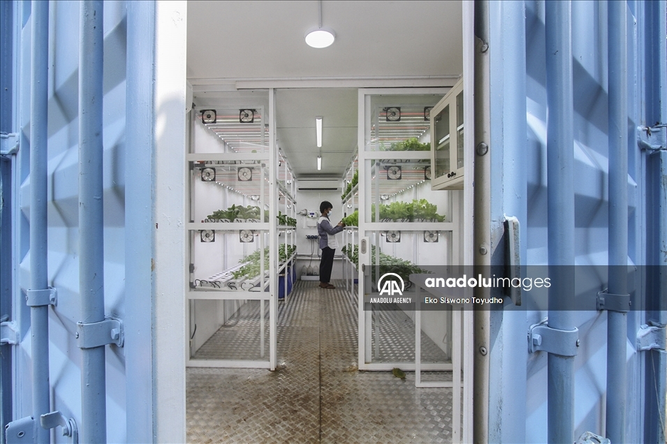 Indonesia luncurkan container farming di Jakarta