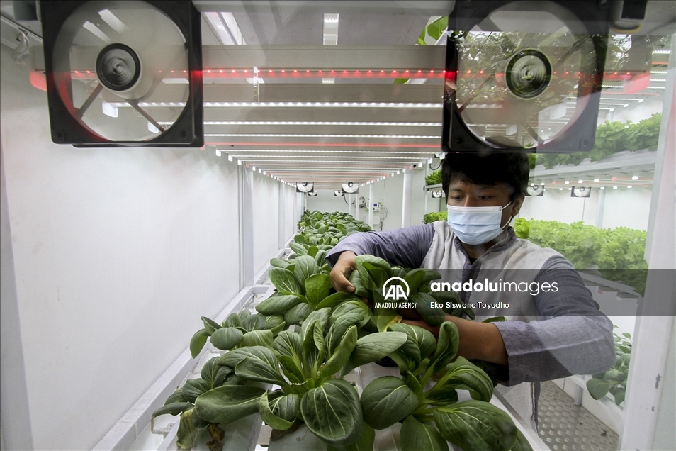 Indonesia luncurkan container farming di Jakarta
