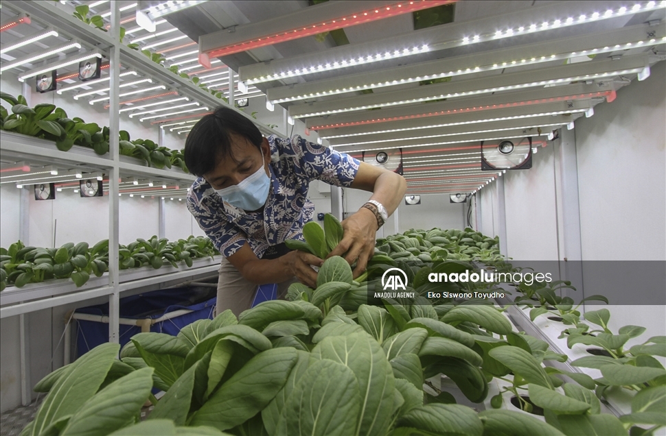 Indonesia luncurkan container farming di Jakarta