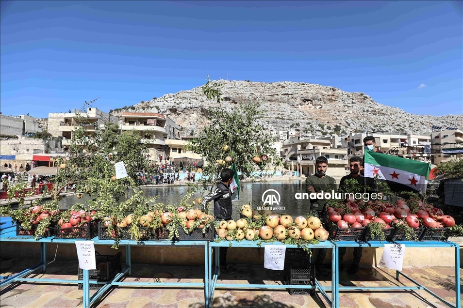 Decenas de personas celebran el Festival de la granada en Idlib, Siria 4
