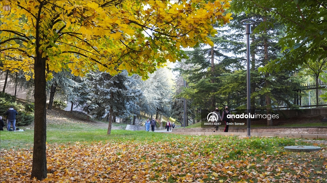 Autumn in Ankara