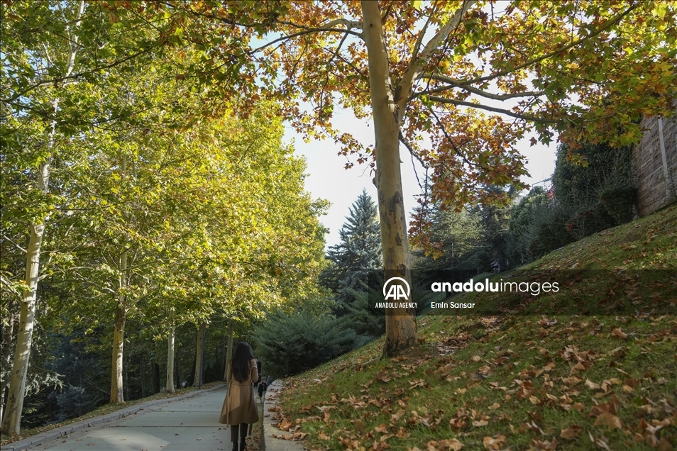 Autumn in Ankara