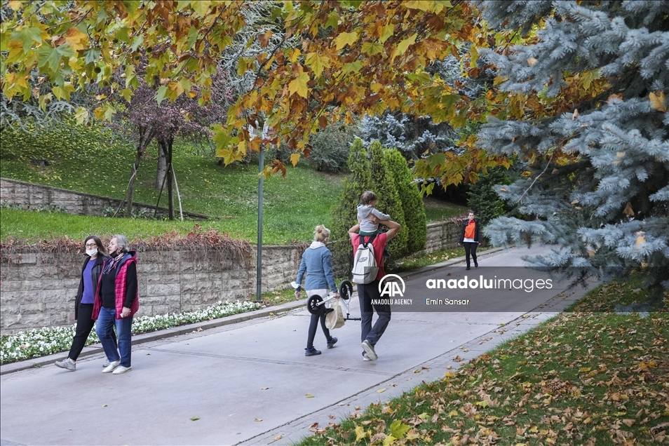 Autumn in Ankara