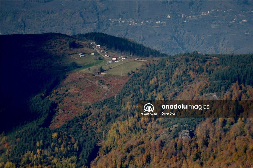 Düzce'nin ormanlarında sonbahar renkleri