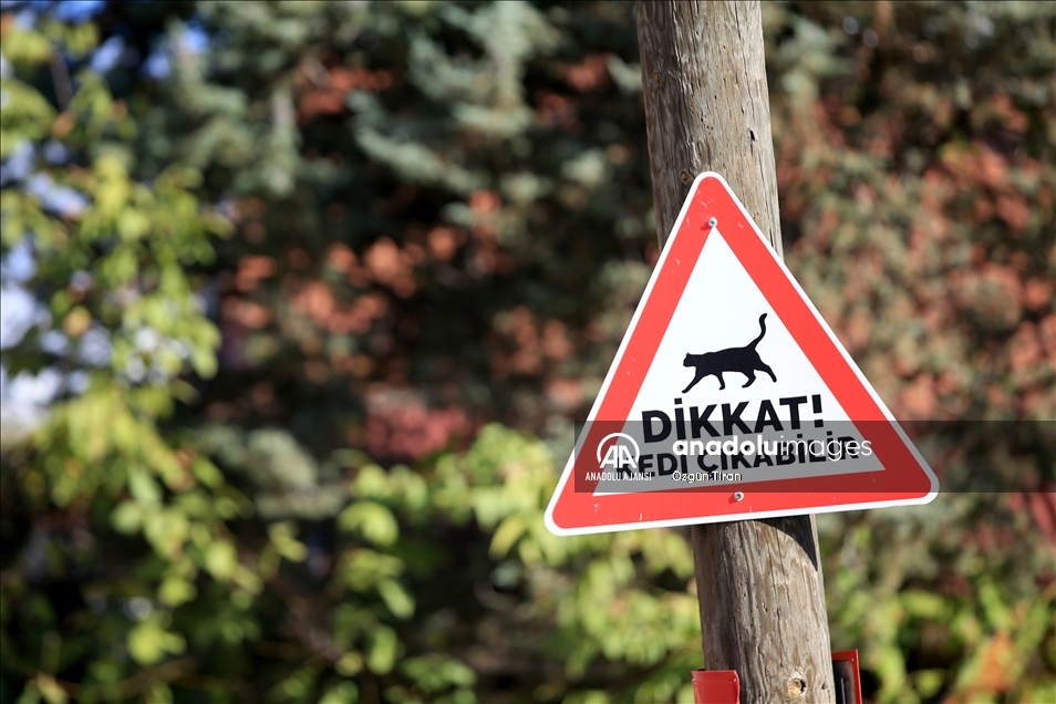 Kırklareli'nde sürücüler "kedi - köpek çıkabilir" tabelalarıyla uyarılıyor