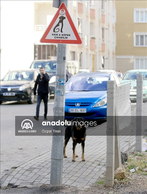 Kırklareli'nde sürücüler "kedi - köpek çıkabilir" tabelalarıyla uyarılıyor